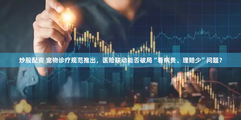 炒股配资 宠物诊疗规范推出，医险联动能否破局“看病贵、理赔少”问题？