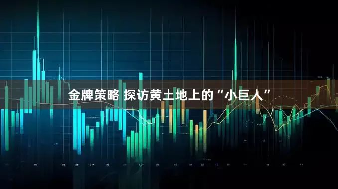 金牌策略 探访黄土地上的“小巨人”