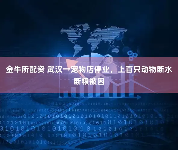 金牛所配资 武汉一宠物店停业，上百只动物断水断粮被困