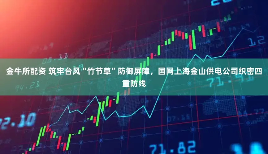 金牛所配资 筑牢台风“竹节草”防御屏障，国网上海金山供电公司织密四重防线