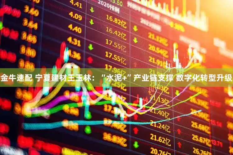 金牛速配 宁夏建材王玉林：“水泥+”产业链支撑 数字化转型升级