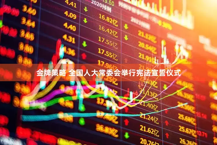 金牌策略 全国人大常委会举行宪法宣誓仪式